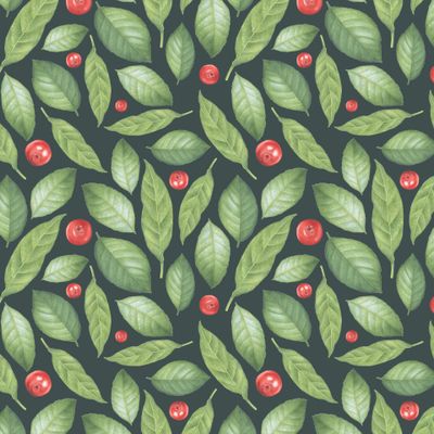 Зеленые листья и красные ягоды на темном фоне