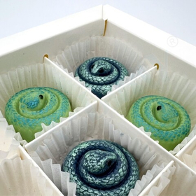 Пластиковая форма для шоколада ЗМЕЙКИ спираль-мини конфеты (4 ячейки)
