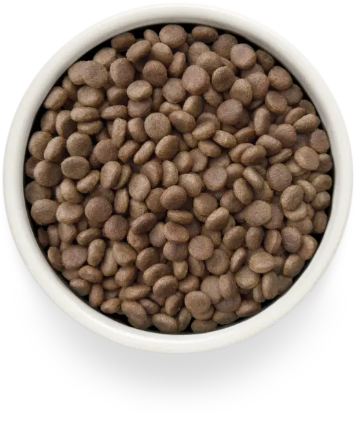 Сухой корм GRANDORF VETERINARY DIET Dog GASTROINTESTINAL LOW FAT Полнорационный диетический корм для собак, способствующий регуляции метаболизма липидов при гиперлипидемии, индейка 1кг