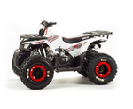 Квадроцикл MotoLand VOX125 WILD A