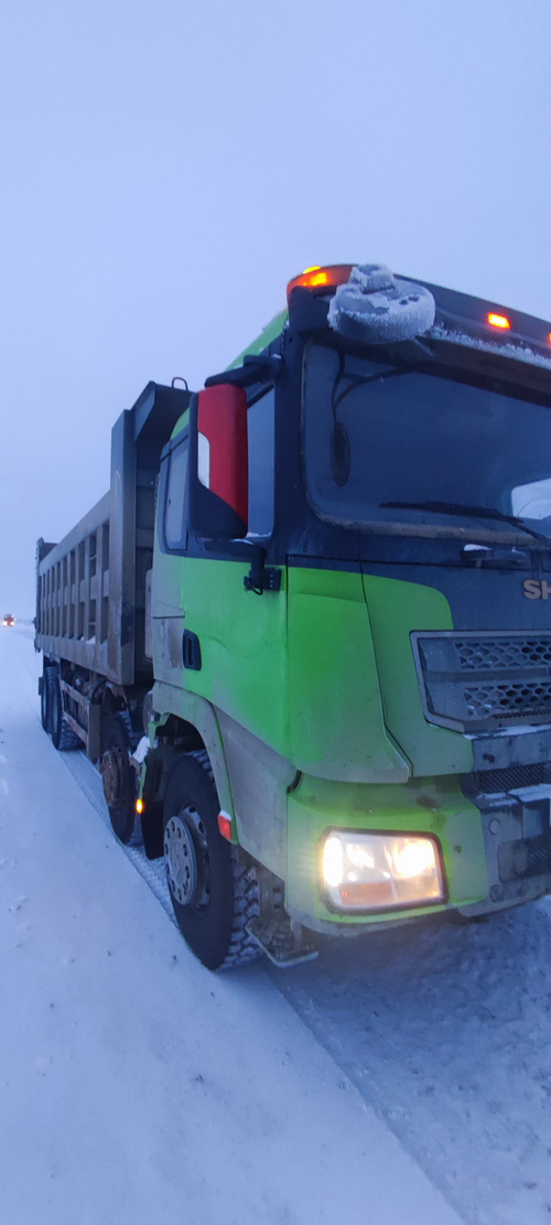 Shacman (Shaanxi) SX* 8x4 Самосвал SX33186V366 (Дизельный, 11,6 л, 423 л.с., МТ)
