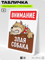 Табличка "Внимание, злая собака" на дверь и забор, для двора, дома, подъезда, 40х30 см, Silver Plane x Айдентика Технолоджи