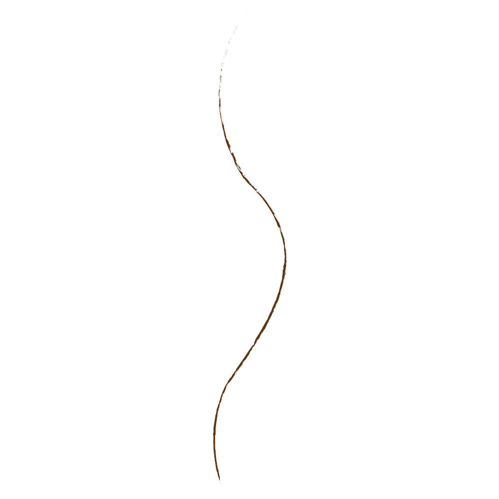wet n wild, Ultimate Brow, микрокарандаш для бровей, 646A Brunette, 0,06 г (0,002 унции)