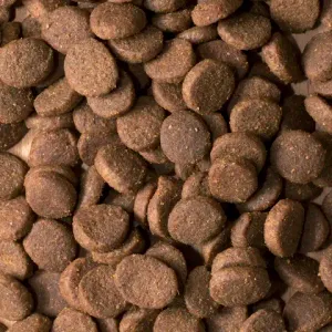 Сухой корм ProBalance Delicate Digestion для взрослых собак с лососем и рисом, при нарушении пищеварения