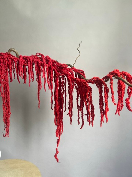 Амарант стабилизированный красный