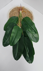 Куст банана с воздушными корнями / Арт 6355