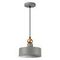 Подвесной светильник Odeon Light Pendant Bolli 4089/1