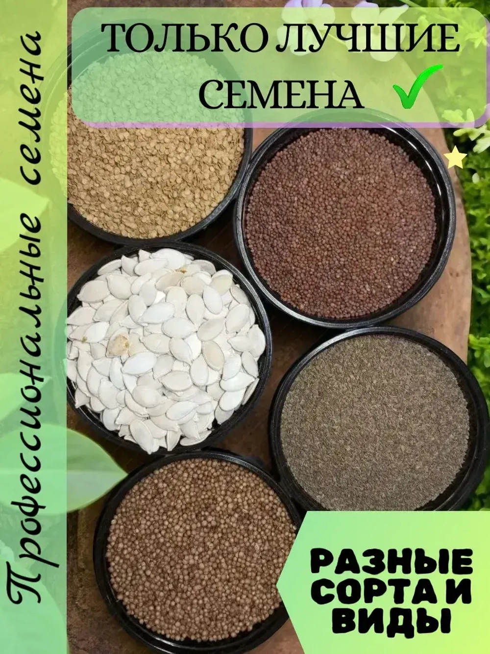 Салат семена "Надин Агро" 10 гр