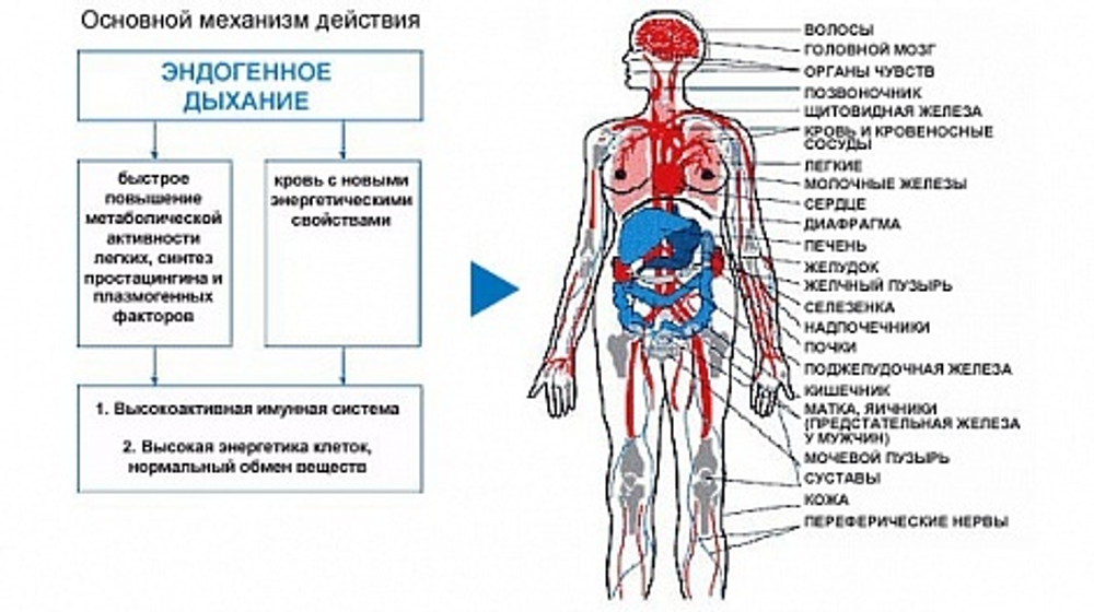 Ингалятор-Тренажер индивидуальный (дыхательный тренажер Фролова)
