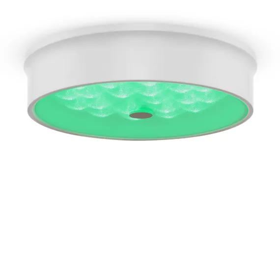 Потолочный светильник FR10011CL-L24W Элементы 24 Вт LED Freya fr10011cl-l24w