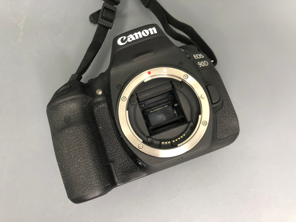 Canon EOS 90D (17.100 кадров)