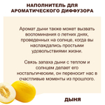 ДЫНЯ - Наполнитель для ароматического диффузора