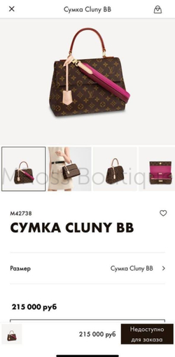 Сумка Louis Vuitton Cluny BB