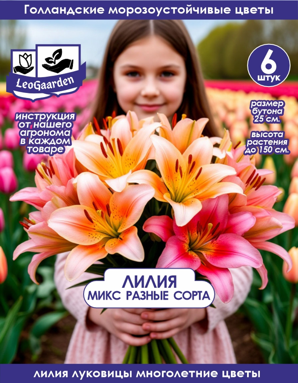 Лилия Луковица, Микс сортов 6шт