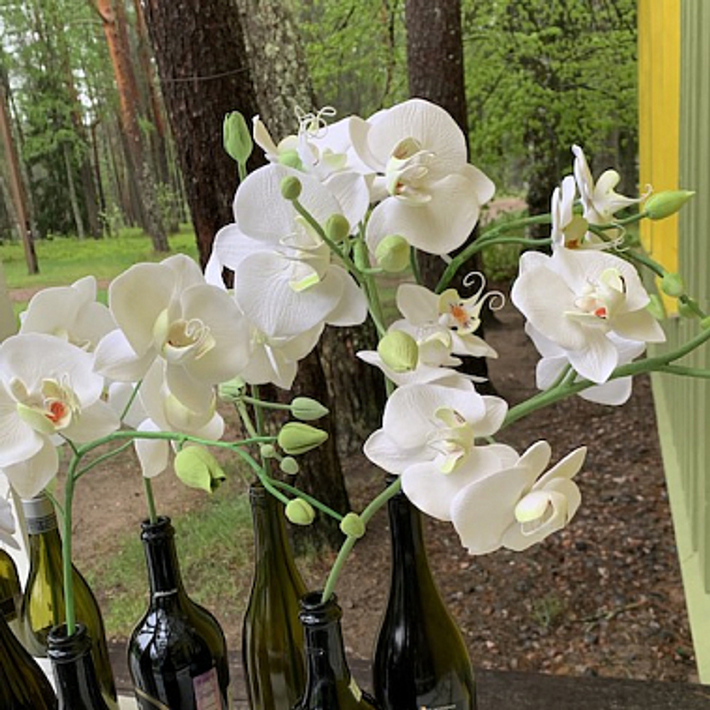 Каттер для центра орхидеи Фаленопсис