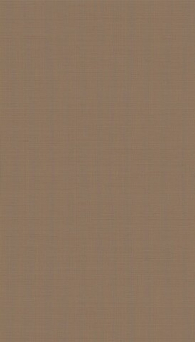 Обои Carl Robinson Edition 16 93201 CR