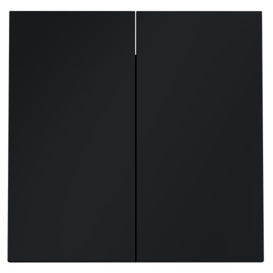 Клавиши для выключателя/переключателя двухклавишного, S70 (графит)