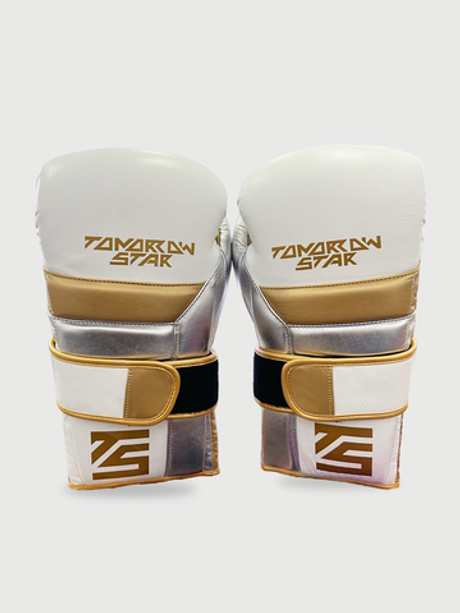 Перчатки боксерские WHITE TS 008