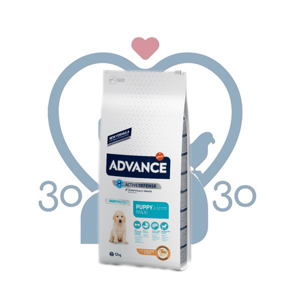 Advance 14кг Maxi Junior Сухой корм для щенков крупных пород 12-24 мес с курицей и рисом