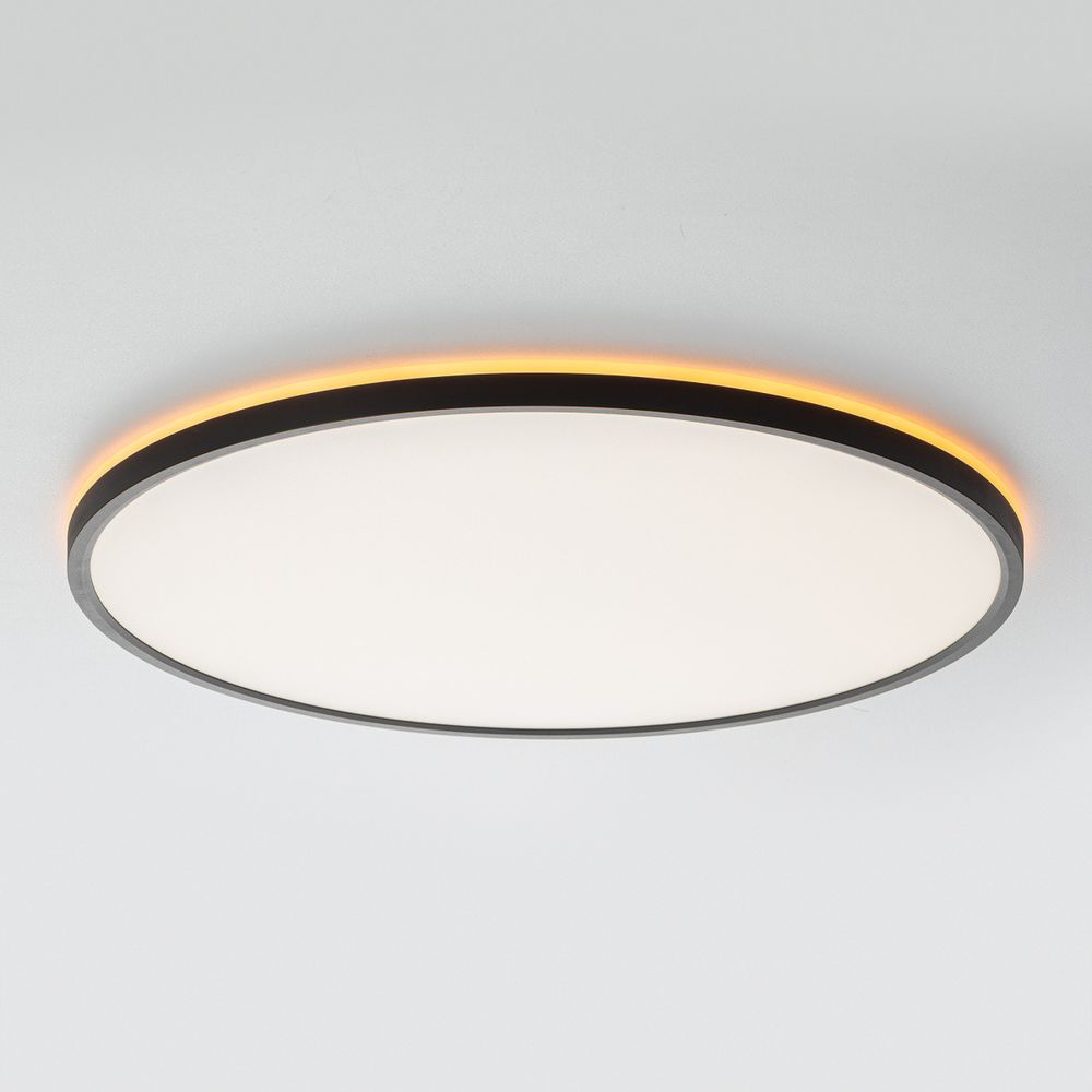 Citilux NORMA CL749501 LED RGB Светильник с пультом Чёрный