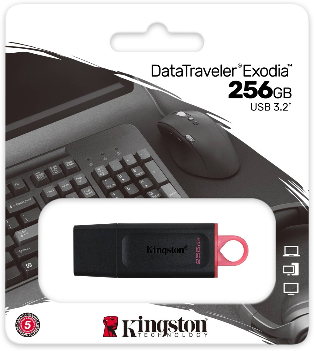 USB Flash карта Kingston DTX/256GB 256 Гб