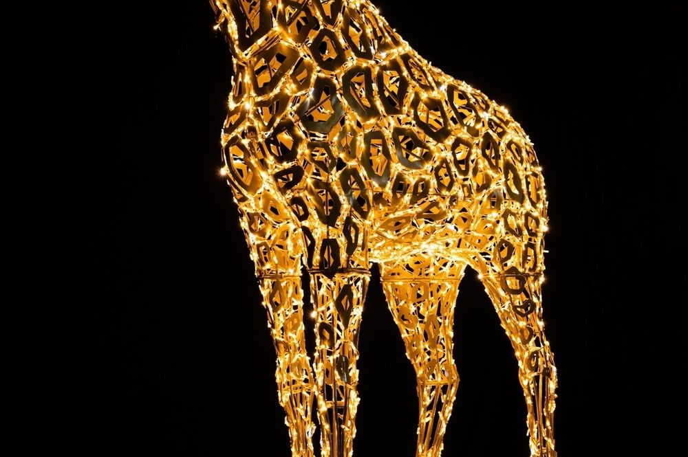 Светодиодная фигура "Жираф"