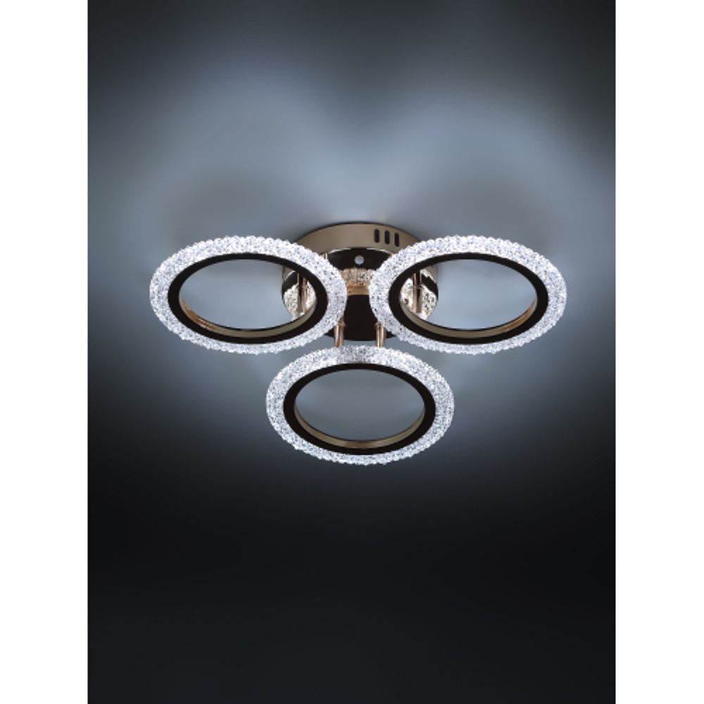 Светильник потолочный светодиодный Rivoli Evlalia 6178-703 LED 42Вт 3000-6000К с пультом | Rivoli