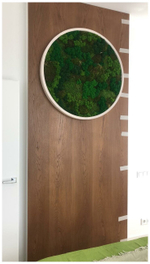 Круглое панно из стабилизированного мха в деревянной раме, диаметр 60см