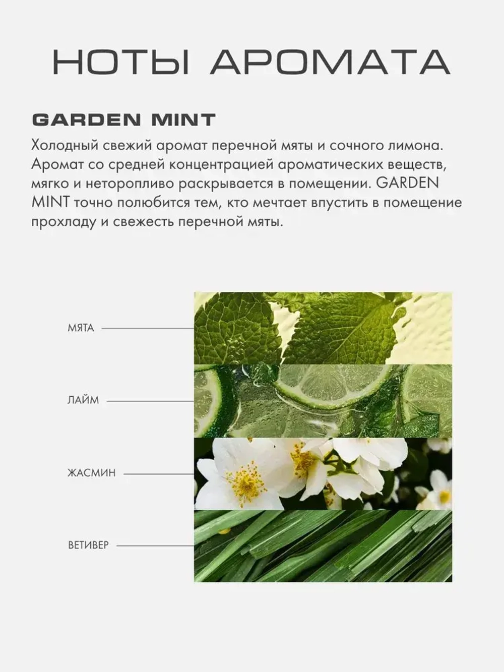 Ароматическое саше GARDEN MINT