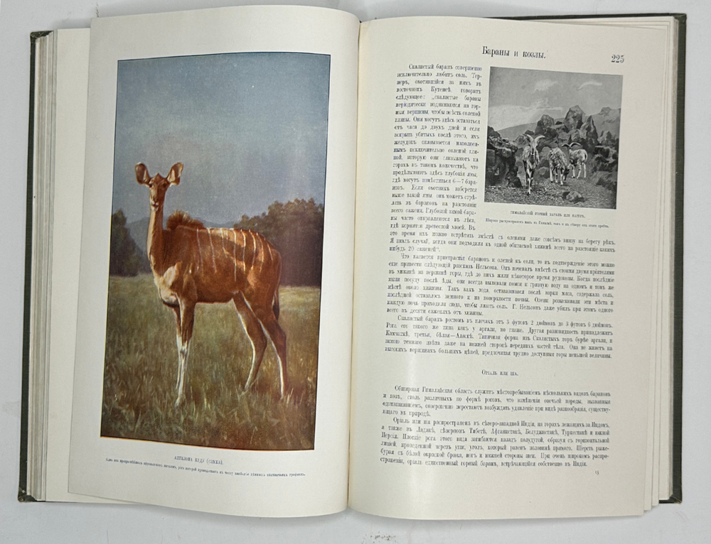 Корниш Чарльз Д. Жизнь животных. В 2-х т. В 2-х книгах. Москва. Издание Кнебель. 1909г.