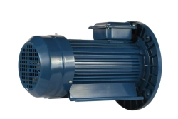 Электродвигатель 5АИ 90 L2 Ж У2 3/3000 IM2081