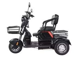 Трицикл WHITE SIBERIA SIBTRIKE 2000W
