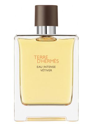 Hermes Terre D' Eau Intense Vetiver