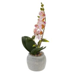 GAEM Цветочная композиция, L15 W13,5 H39 см