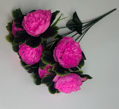 Букет цветных гвоздик