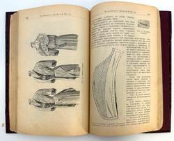 Календарь. Дамский мир на 1913 год. Настольная книга для женщин. СПб. Контора журнала. 1913 г.