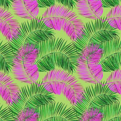 Пальма разноцветная