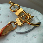 Louis Vuitton Speedy Soft 30