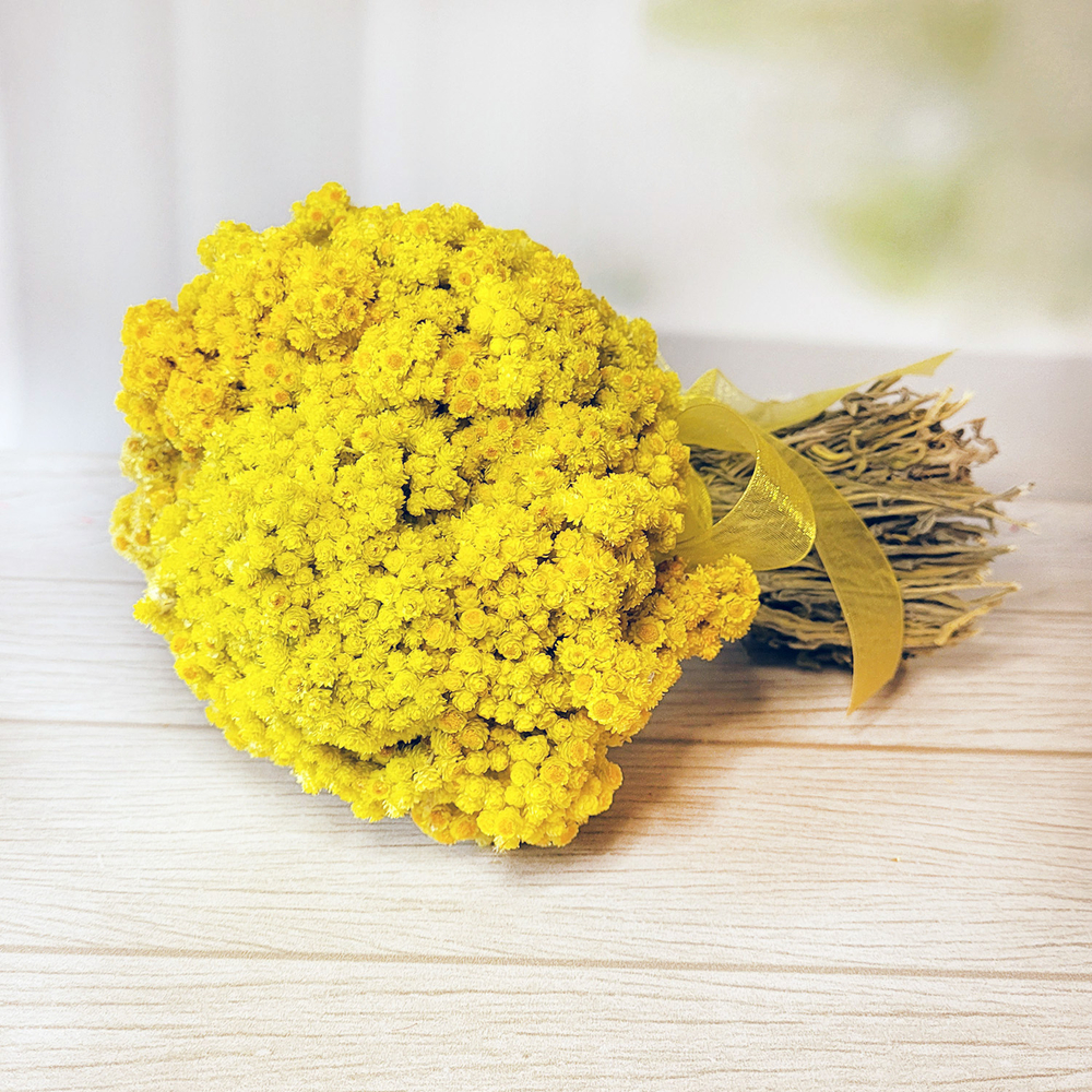 Букет сухоцвет  из натурального Бессмертника, 20х20 см