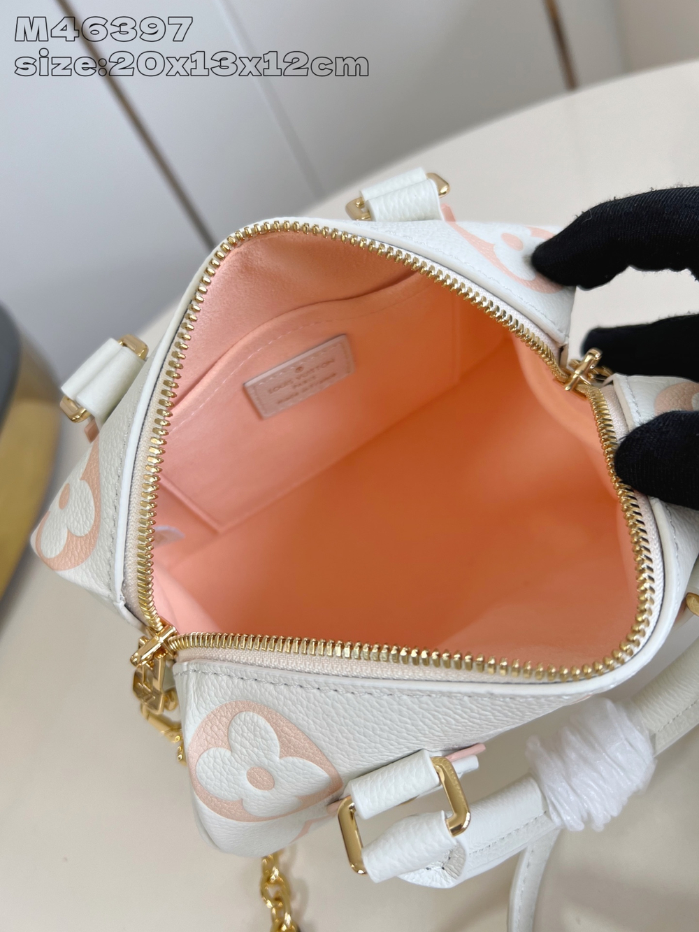 Louis Vuitton Speedy 20