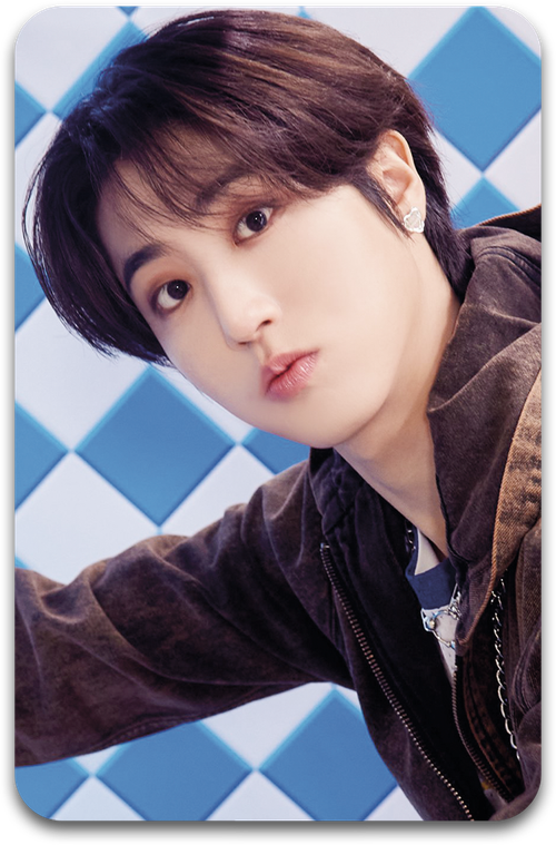 Карта / STRAY KIDS #1240