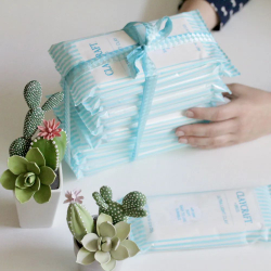 Набор из 10 пачек японской глины Ультра Ultra Light Clay от CLAYCRAFT by DECO