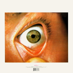 The Flaming Lips / Hear It Is (LP)