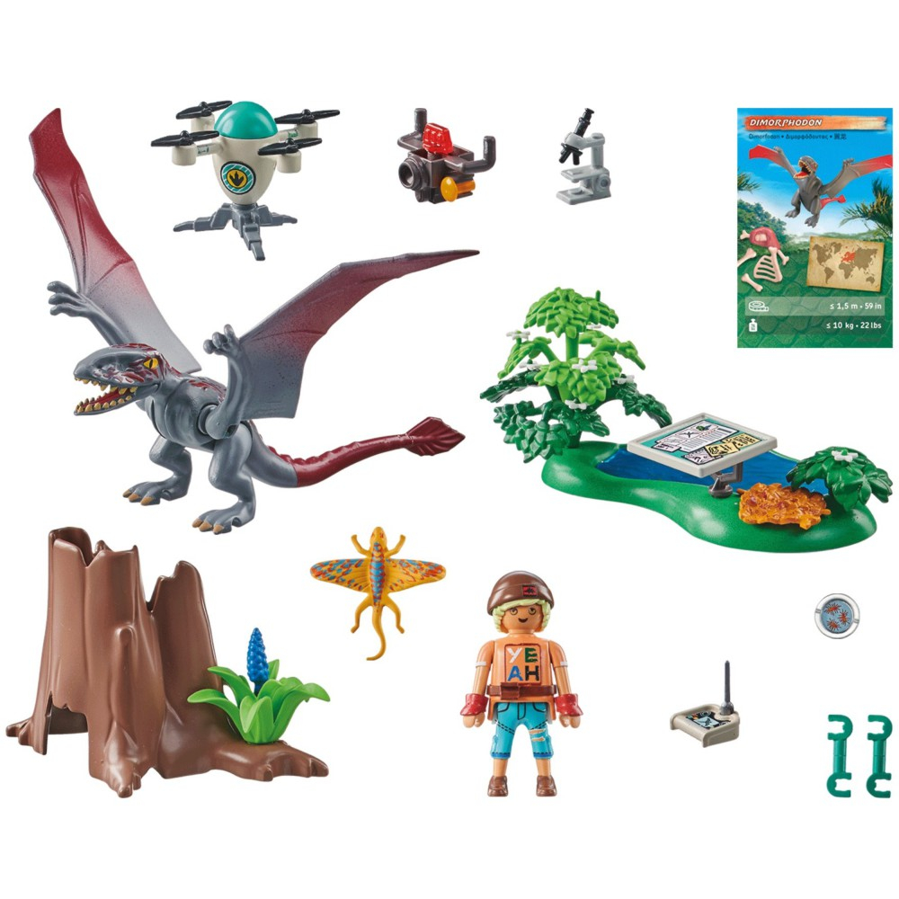 Playmobil - Dinos Научно-исследовательская станция для диморфодонов 71525