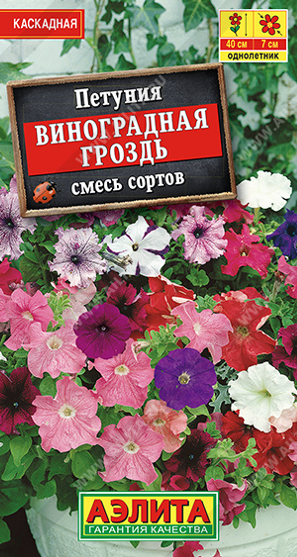 Петуния Виноградная гроздь каскадная, смесь сортов