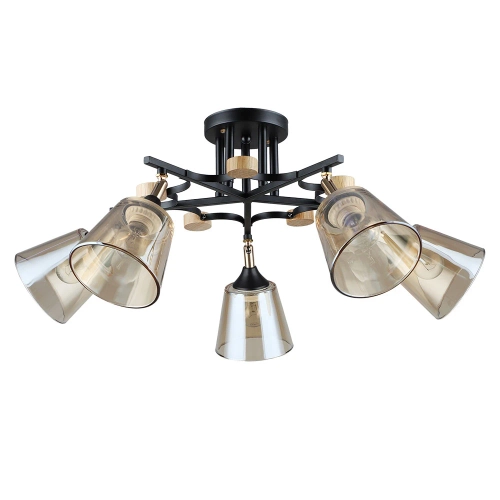 Потолочная люстра Arte Lamp GLASSY A5078PL-5BK