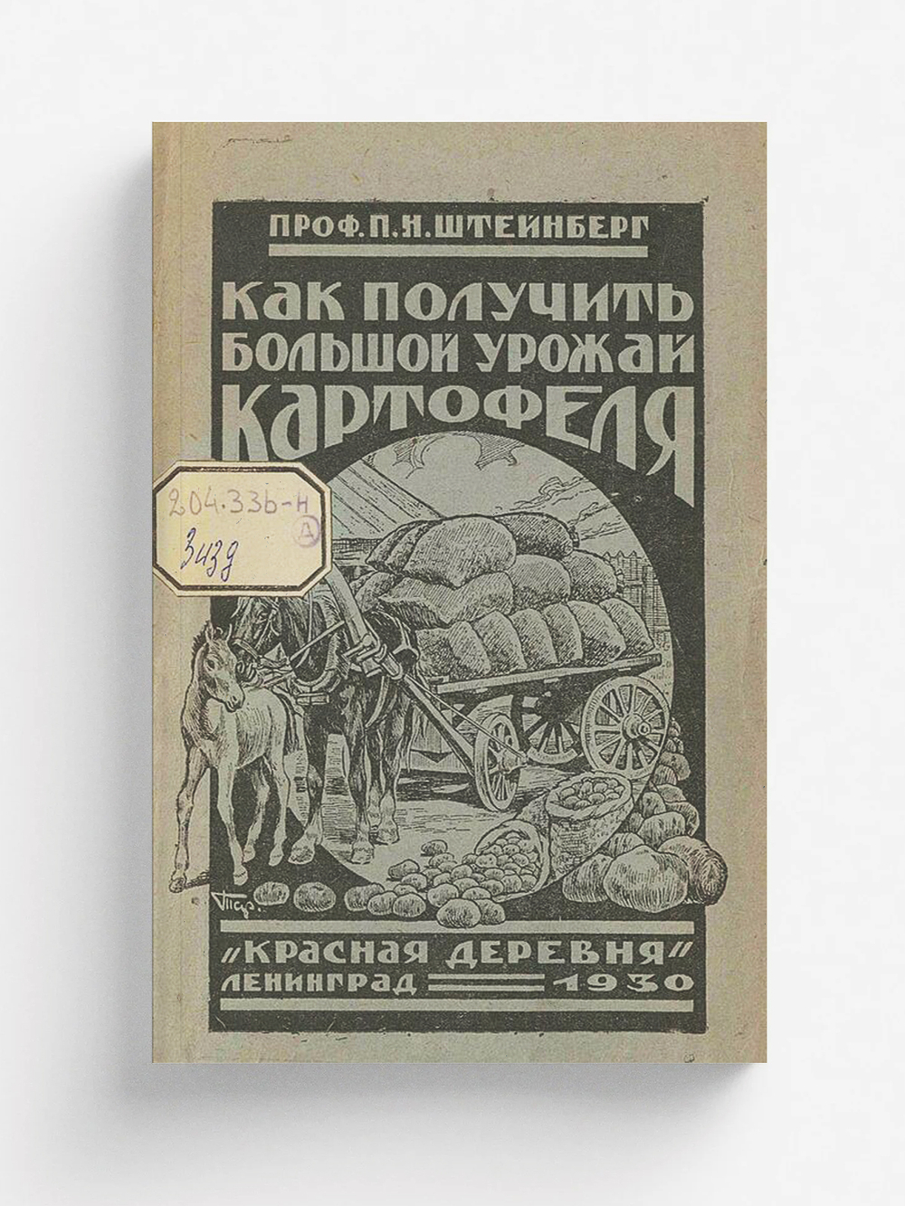 Как получить большой урожай картофеля | Штейнберг Павел Николаевич