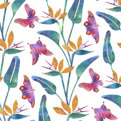 Тропики на белом фоне, стрелиция , бабочки