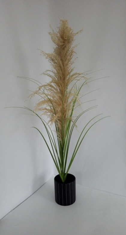 Пампасная трава (натуральная) / Арт 6020
