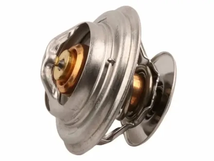 термостат 1004764968